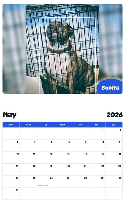 2026 - 2027 Bonita - Pawidols Pet Calendar