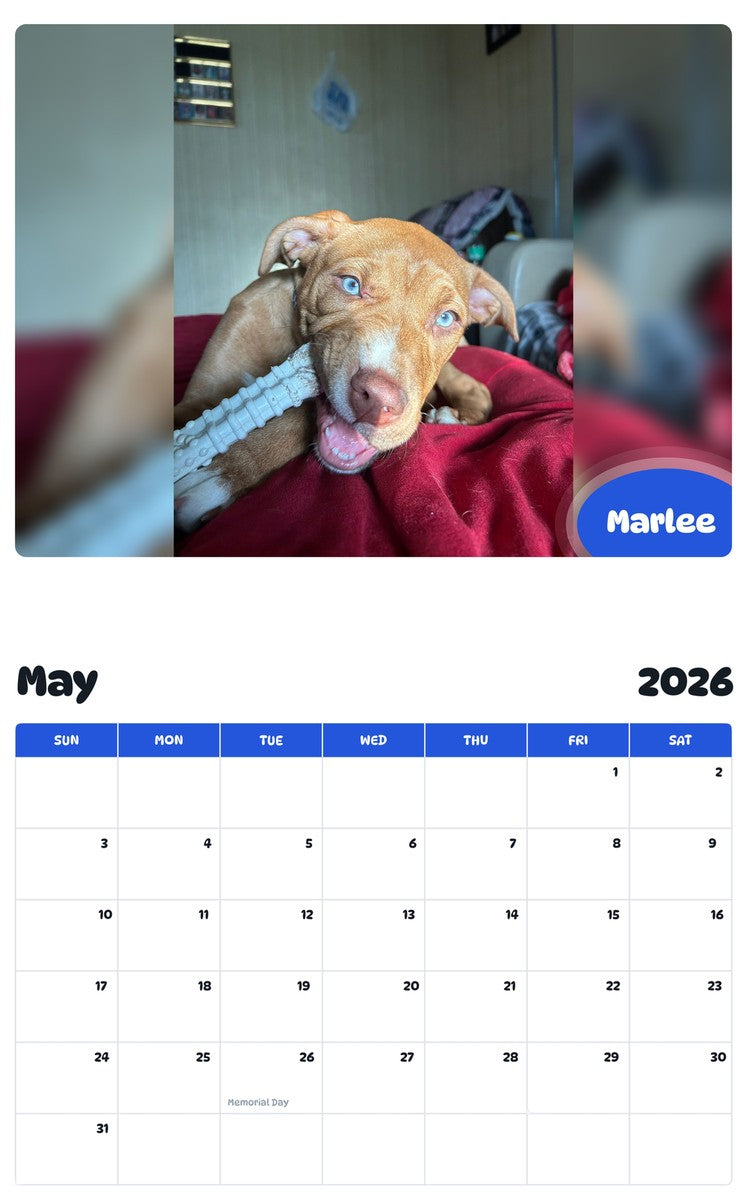 2026 - 2027 Marlee - Pawidols Pet Calendar