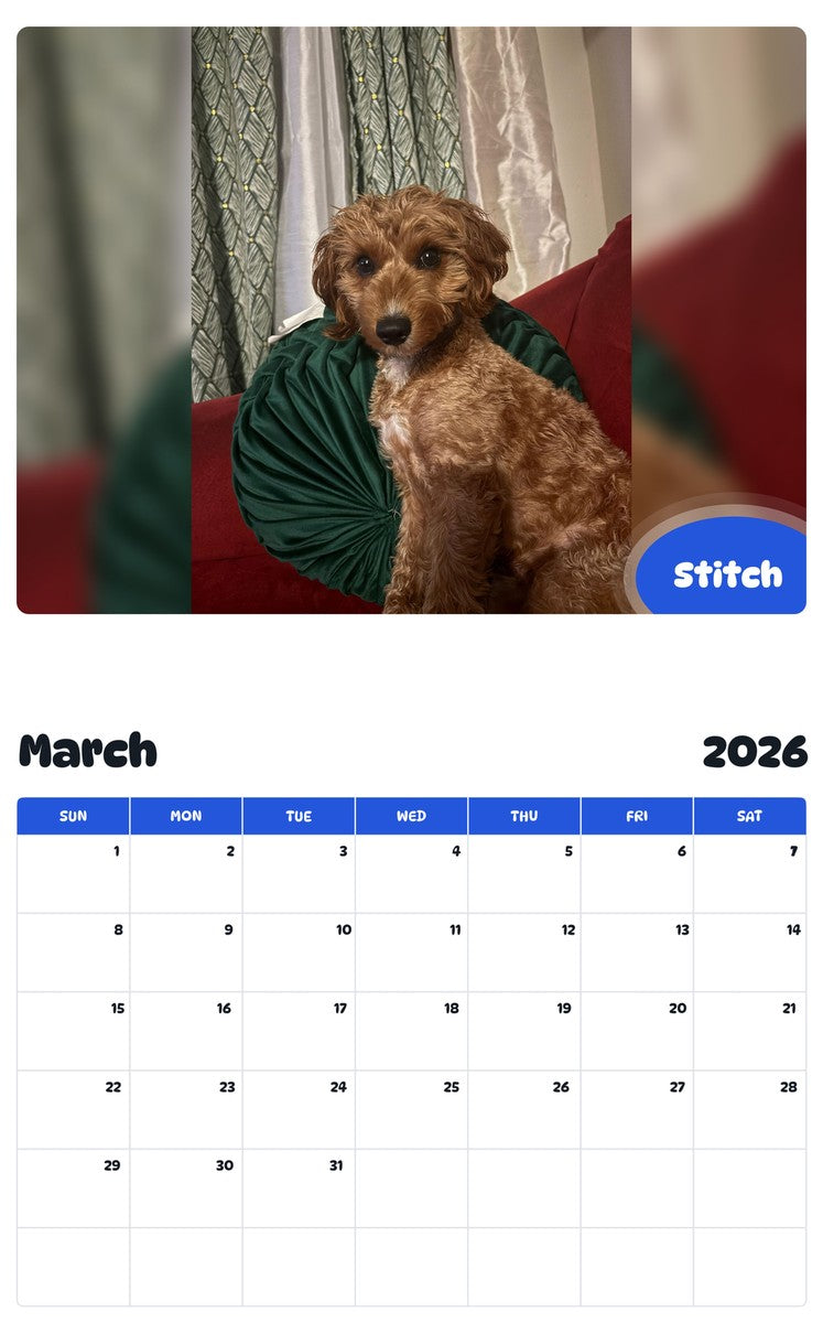 November 2025 - October 2026 Stitch - Pawidols Pet Calendar