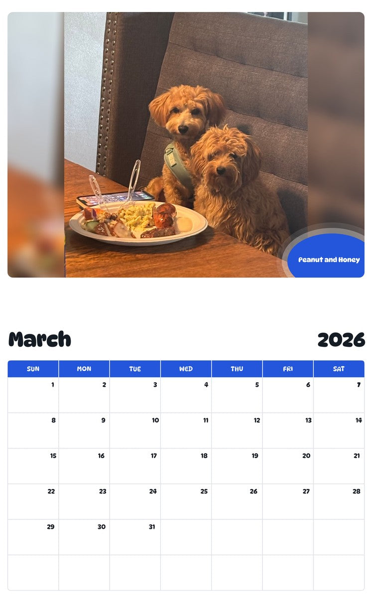 November 2025 - October 2026 Peanut and Honey - Pawidols Pet Calendar