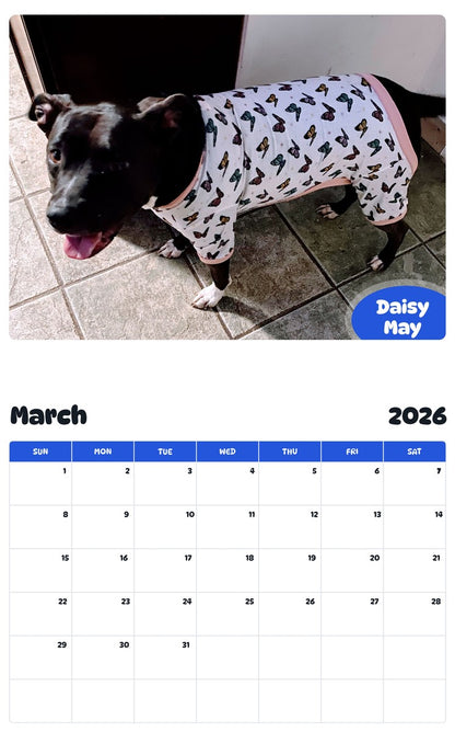 November 2025 - October 2026 Daisy May - Pawidols Pet Calendar