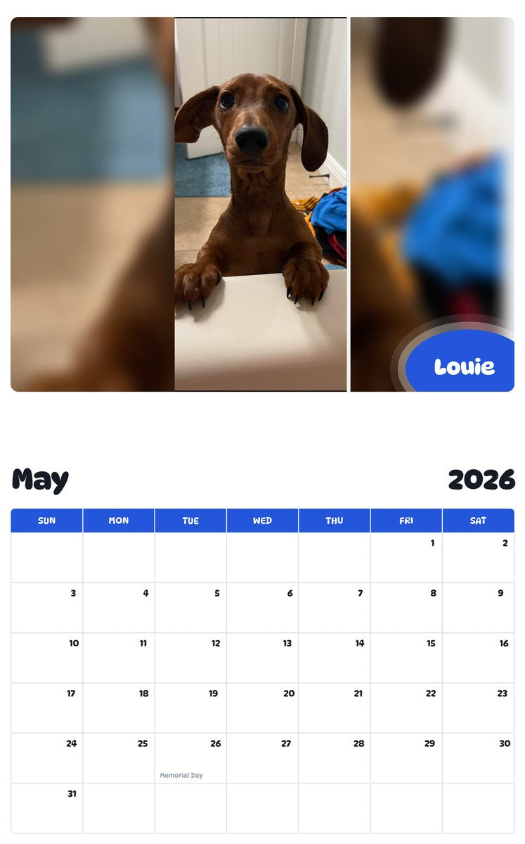 2026 - 2027 Louie - Pawidols Pet Calendar