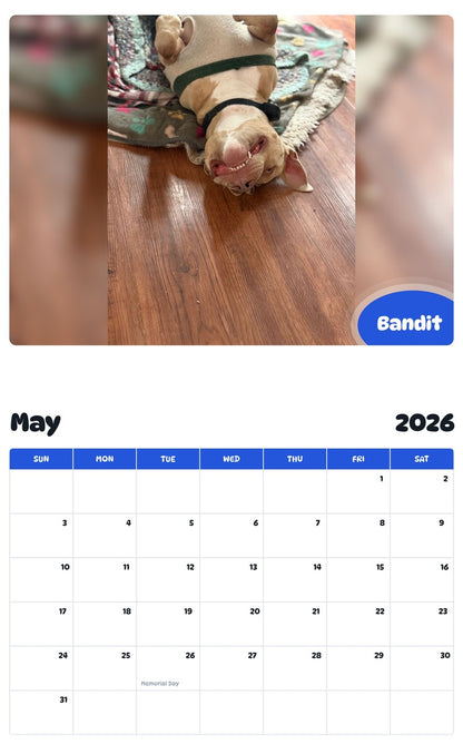 2026 - 2027 Bandit - Pawidols Pet Calendar