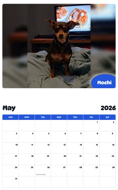2026 - 2027 Mochi - Pawidols Pet Calendar