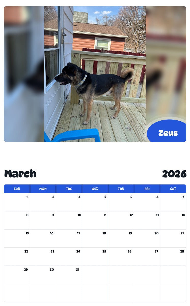 November 2025 - October 2026 Zeus - Pawidols Pet Calendar