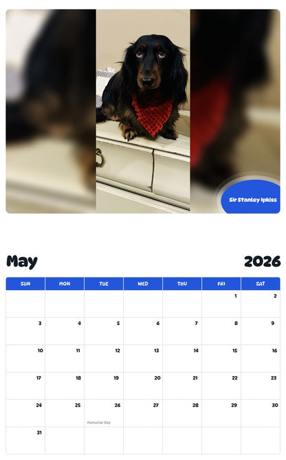 2026 - 2027 Sir Stanley Ipkiss - Pawidols Pet Calendar