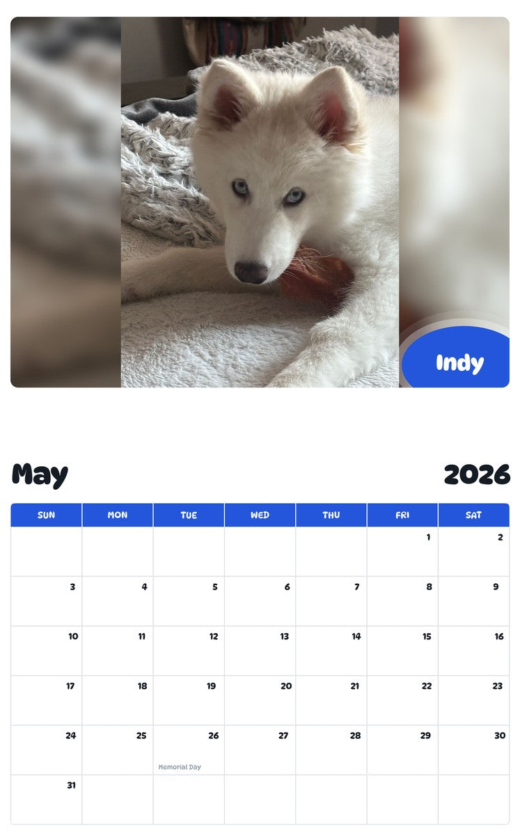 2026 - 2027 Indy - Pawidols Pet Calendar