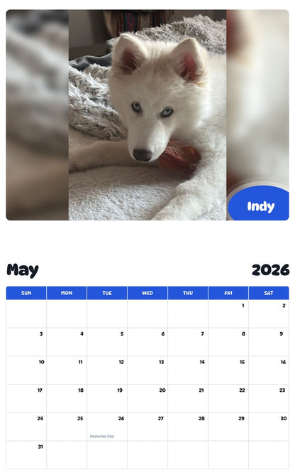 2026 - 2027 Indy - Pawidols Pet Calendar