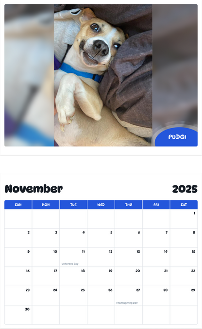 July 2025 - June 2026 Pudgi - Pawidols Pet Calendar