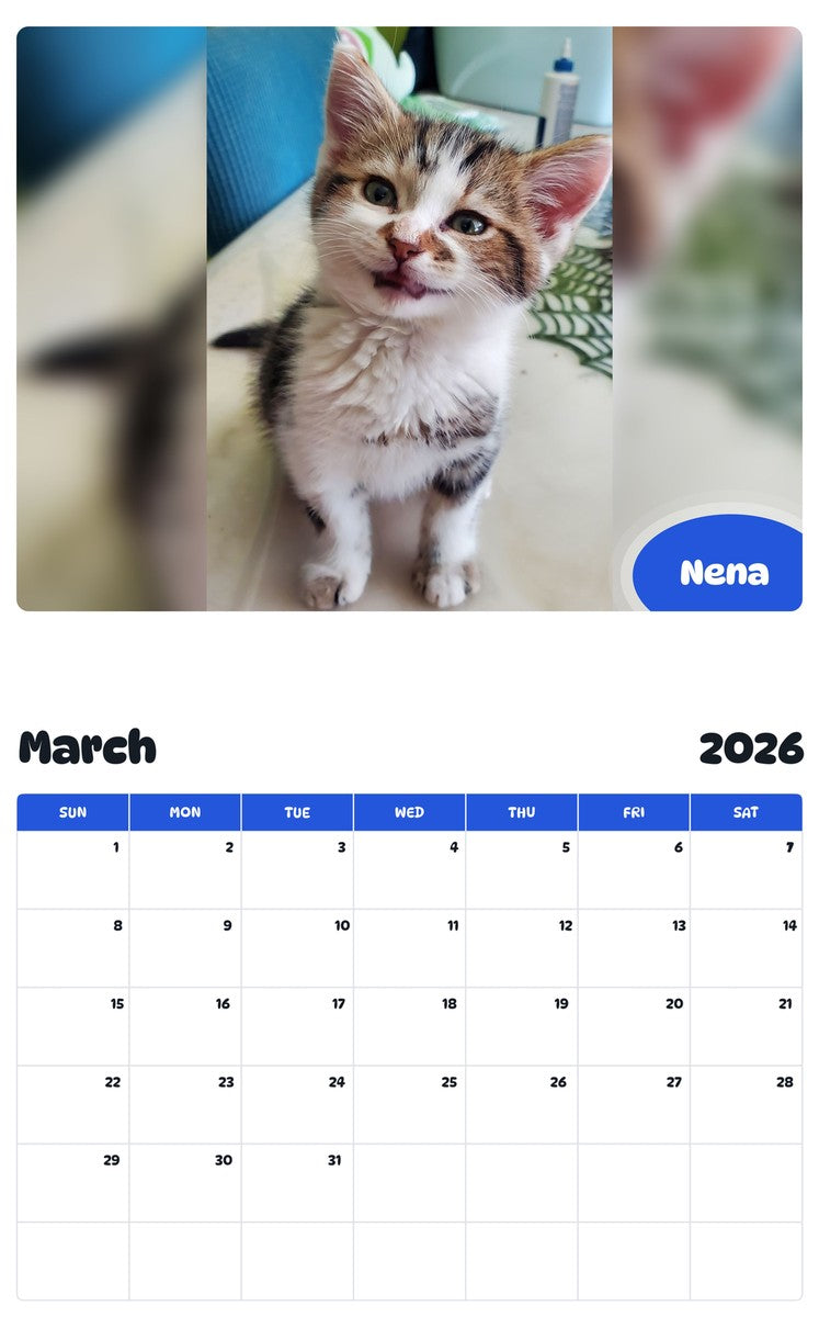 November 2025 - October 2026 Nena - Pawidols Pet Calendar