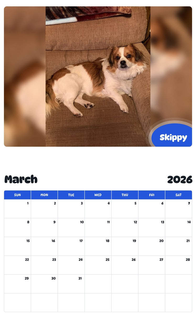 November 2025 - October 2026 Skippy - Pawidols Pet Calendar