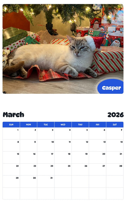 November 2025 - October 2026 Casper - Pawidols Pet Calendar