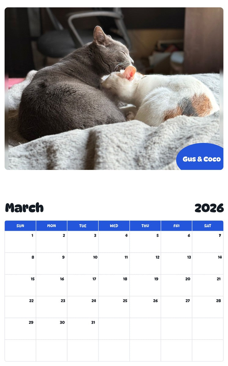 November 2025 - October 2026 Gus & Coco - Pawidols Pet Calendar