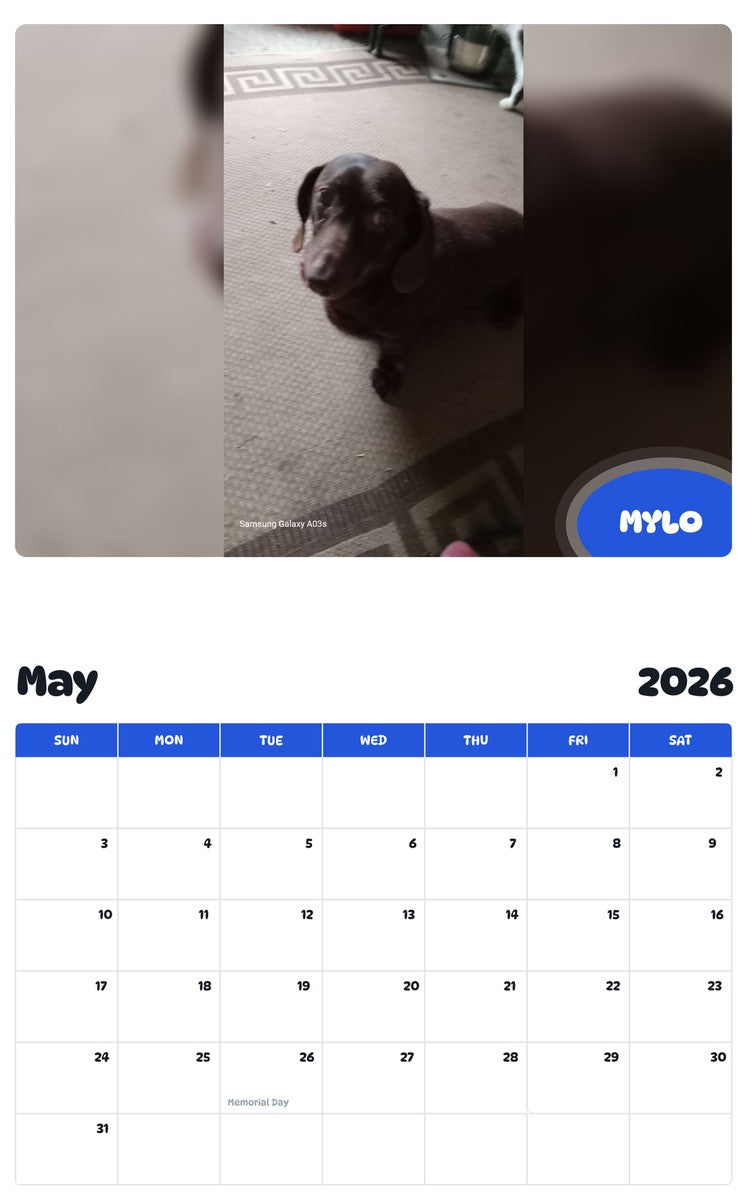 2026 - 2027 MYLO - Pawidols Pet Calendar