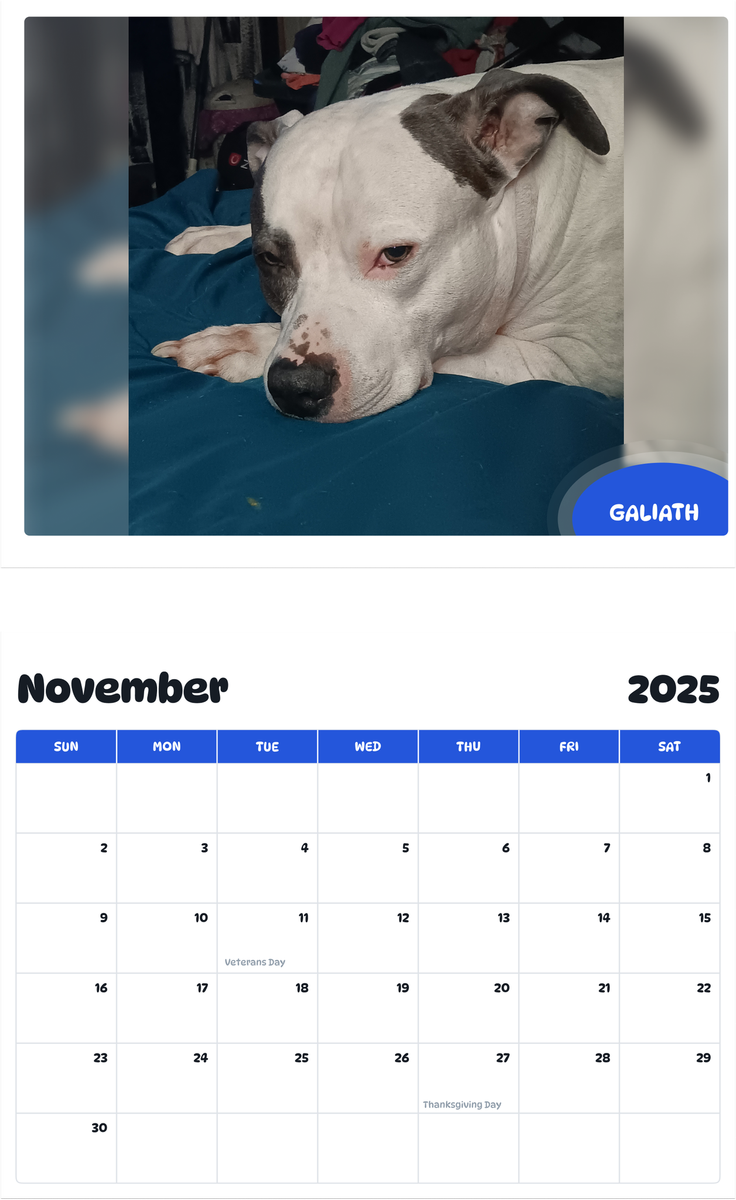 July 2025 - June 2026 Galiath - Pawidols Pet Calendar