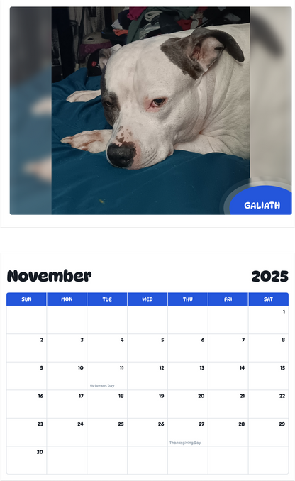July 2025 - June 2026 Galiath - Pawidols Pet Calendar