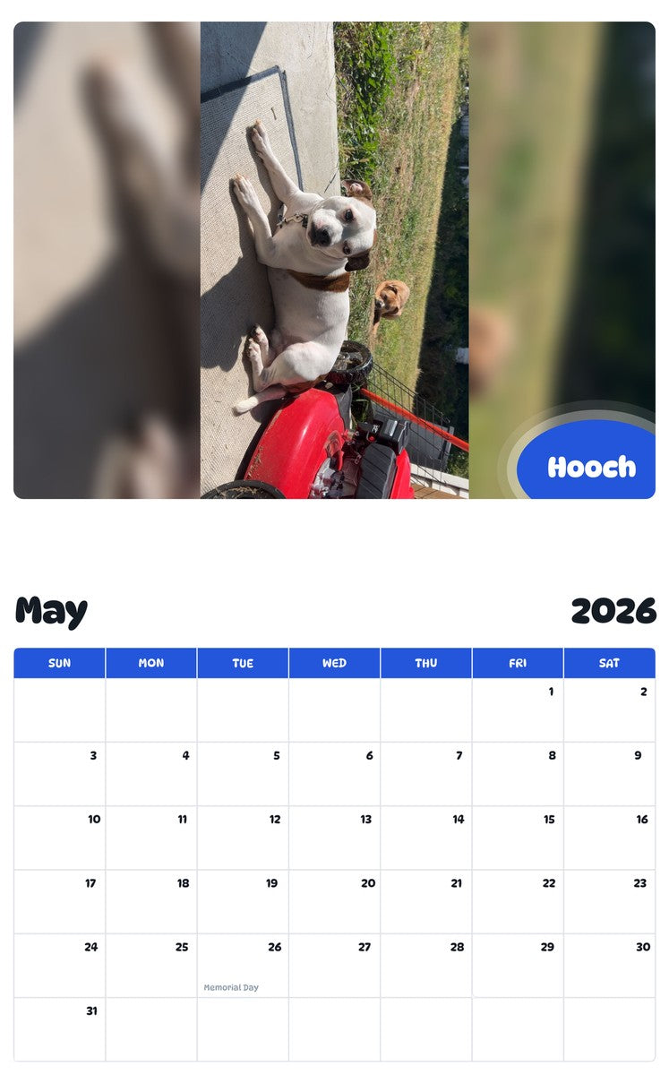 2026 - 2027 Hooch - Pawidols Pet Calendar