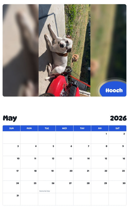 2026 - 2027 Hooch - Pawidols Pet Calendar