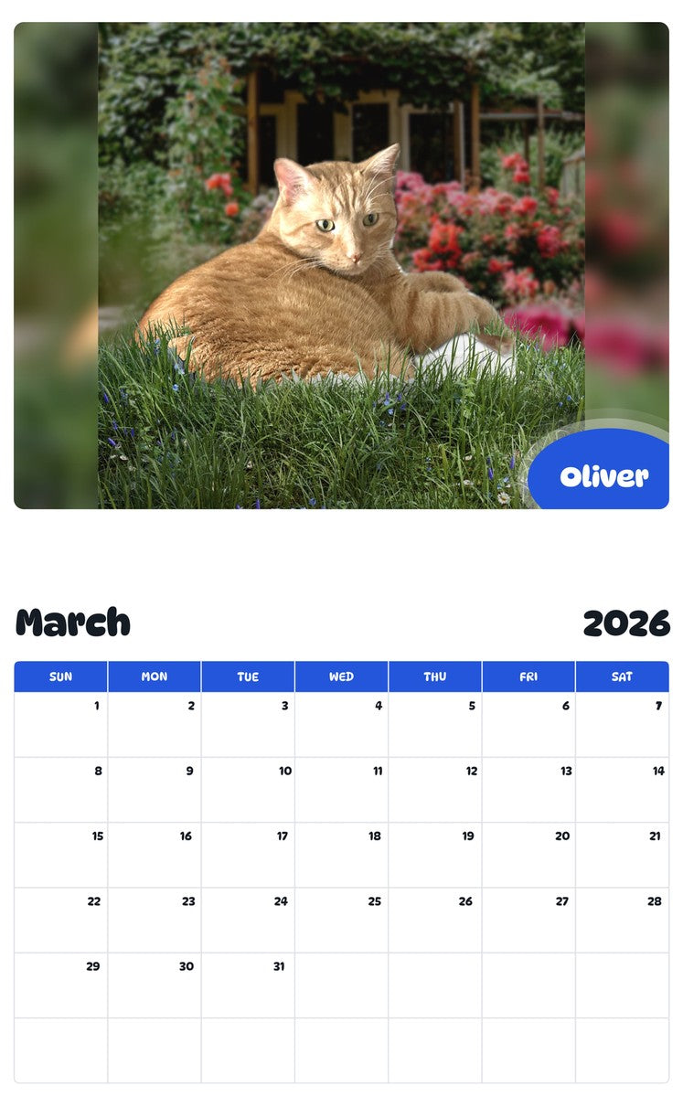 November 2025 - October 2026 Oliver - Pawidols Pet Calendar