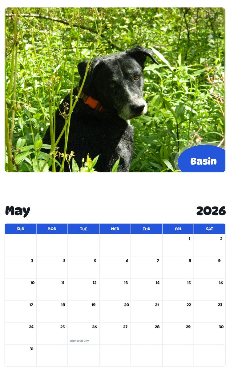 2026 - 2027 Basin - Pawidols Pet Calendar