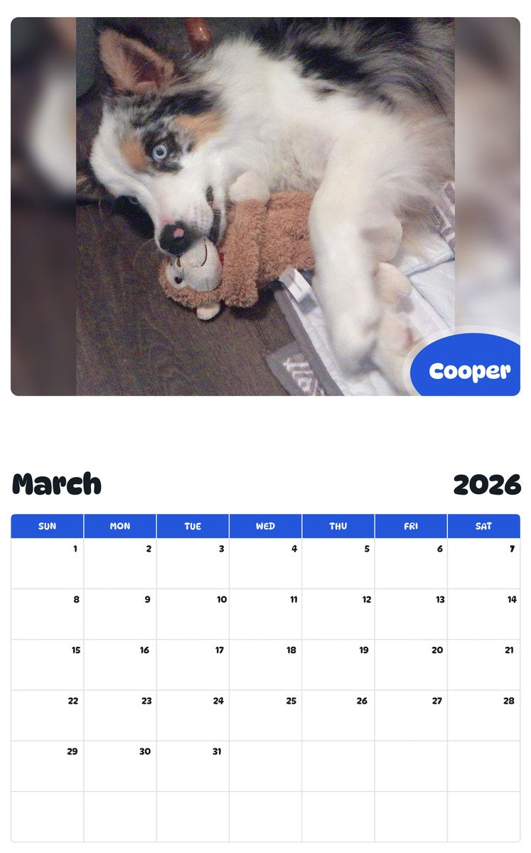 November 2025 - October 2026 Cooper - Pawidols Pet Calendar