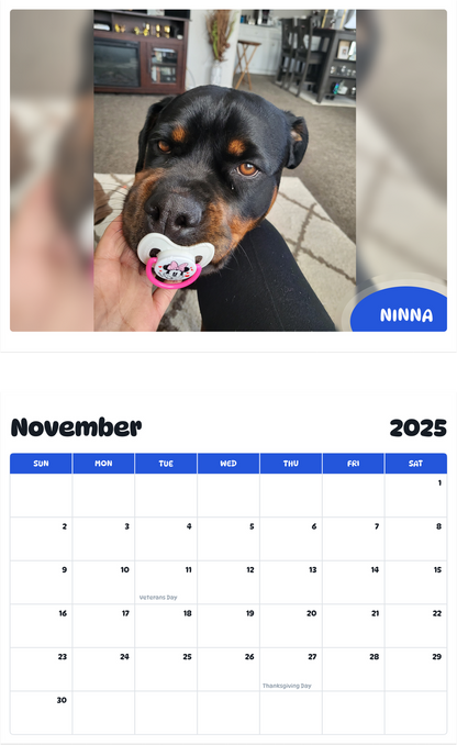 July 2025 - June 2026 Ninna - Pawidols Pet Calendar