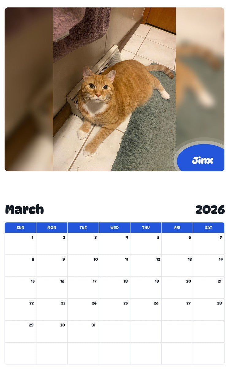November 2025 - October 2026 Jinx - Pawidols Pet Calendar
