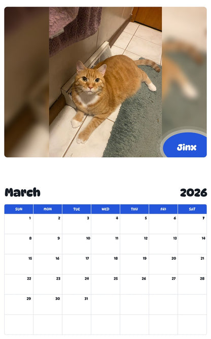 November 2025 - October 2026 Jinx - Pawidols Pet Calendar