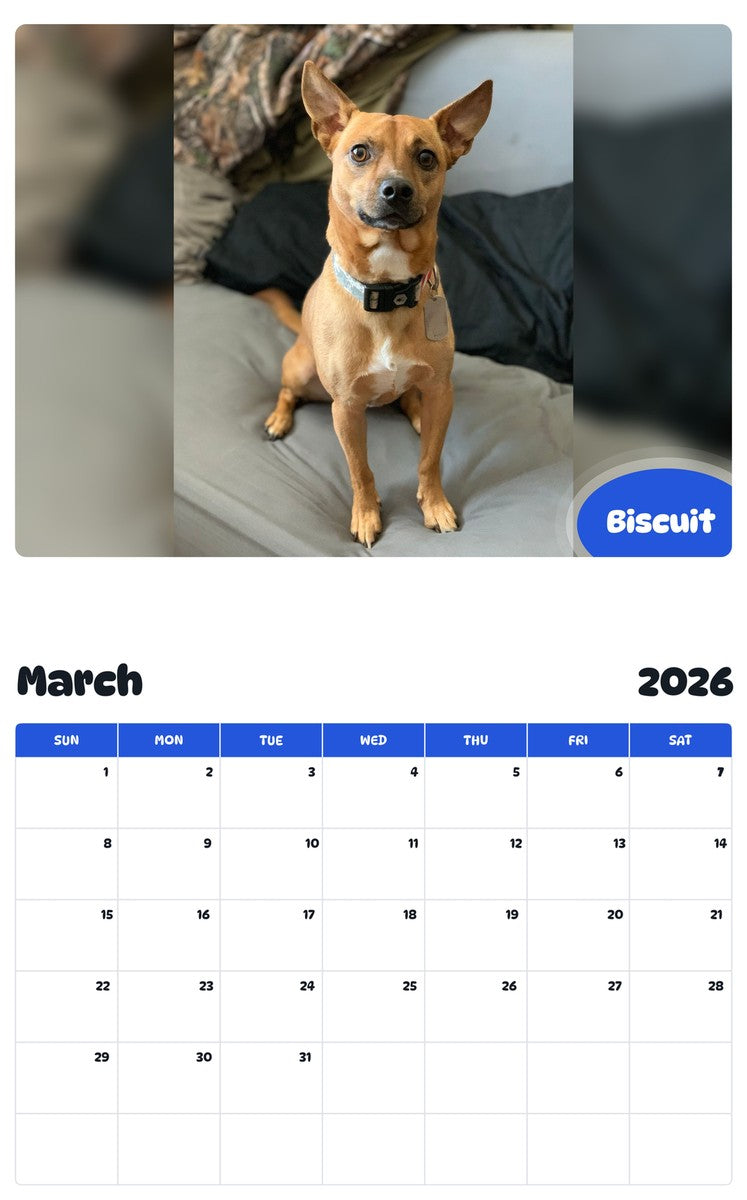 November 2025 - October 2026 Biscuit - Pawidols Pet Calendar