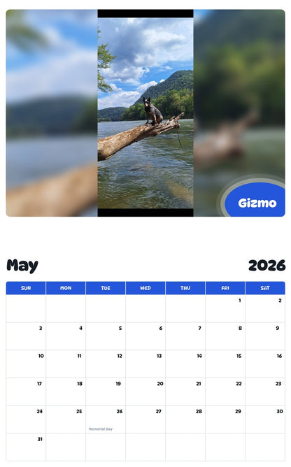 2026 - 2027 Gizmo - Pawidols Pet Calendar