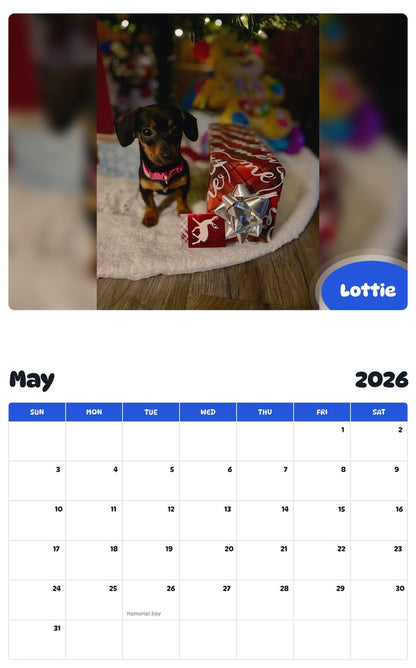 2026 - 2027 Lottie - Pawidols Pet Calendar