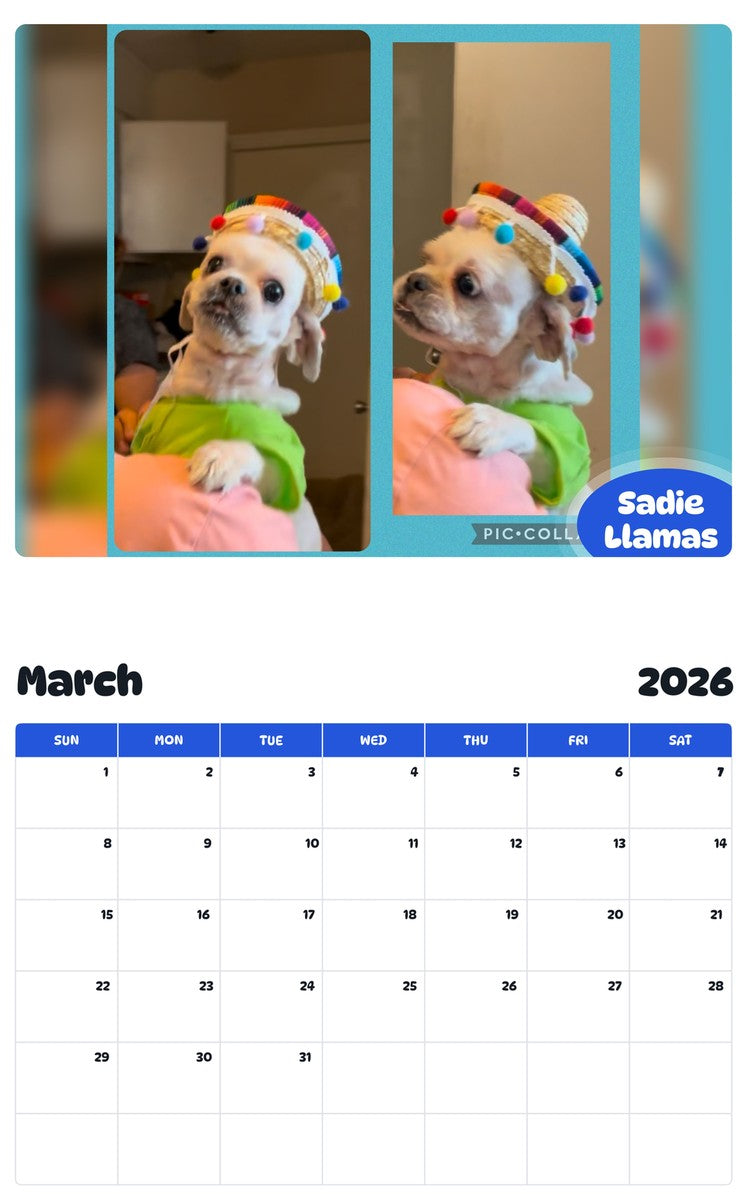 November 2025 - October 2026 Sadie Llamas - Pawidols Pet Calendar