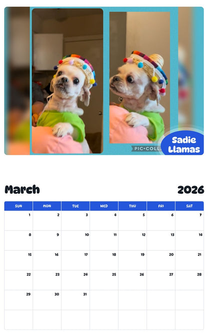 November 2025 - October 2026 Sadie Llamas - Pawidols Pet Calendar