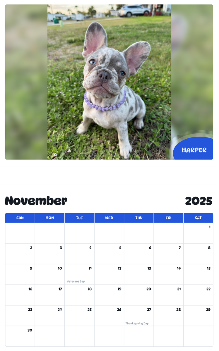 July 2025 - June 2026 Harper - Pawidols Pet Calendar