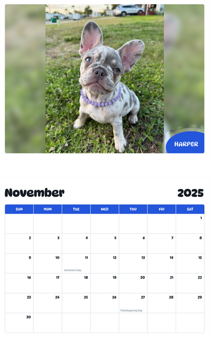 July 2025 - June 2026 Harper - Pawidols Pet Calendar