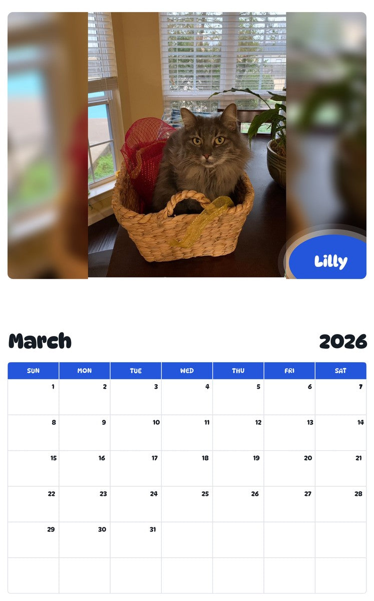 November 2025 - October 2026 Lilly - Pawidols Pet Calendar