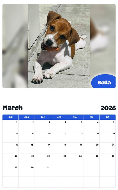November 2025 - October 2026 Bella - Pawidols Pet Calendar