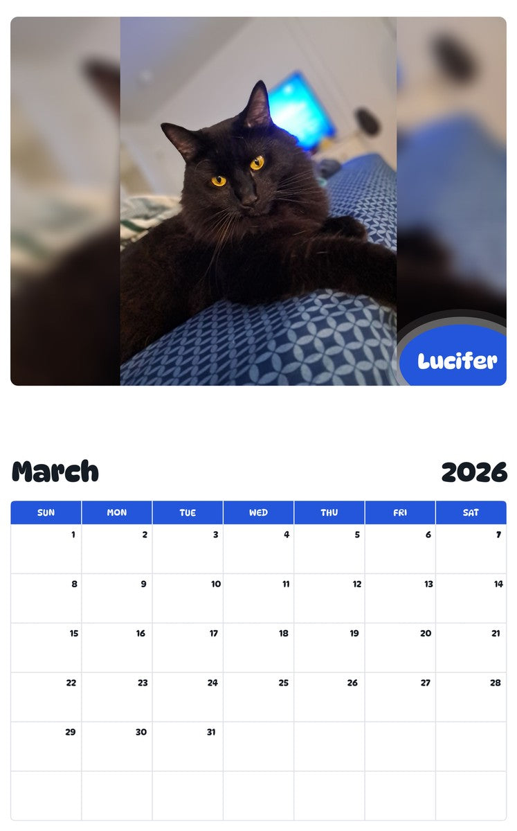 November 2025 - October 2026 Lucifer - Pawidols Pet Calendar