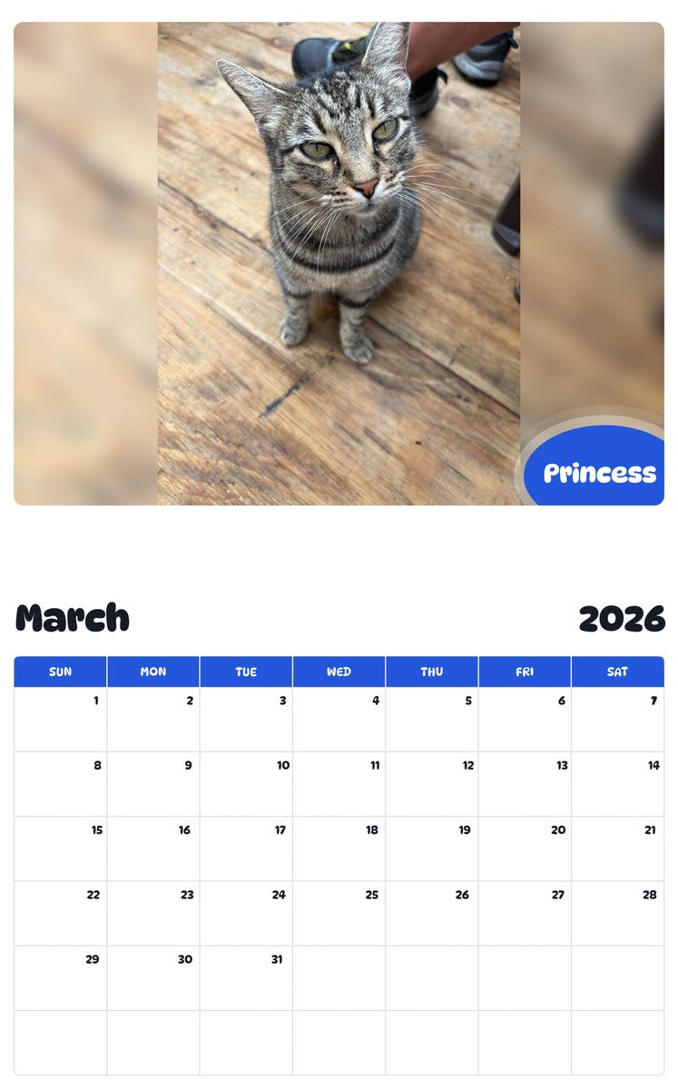 November 2025 - October 2026 Princess - Pawidols Pet Calendar