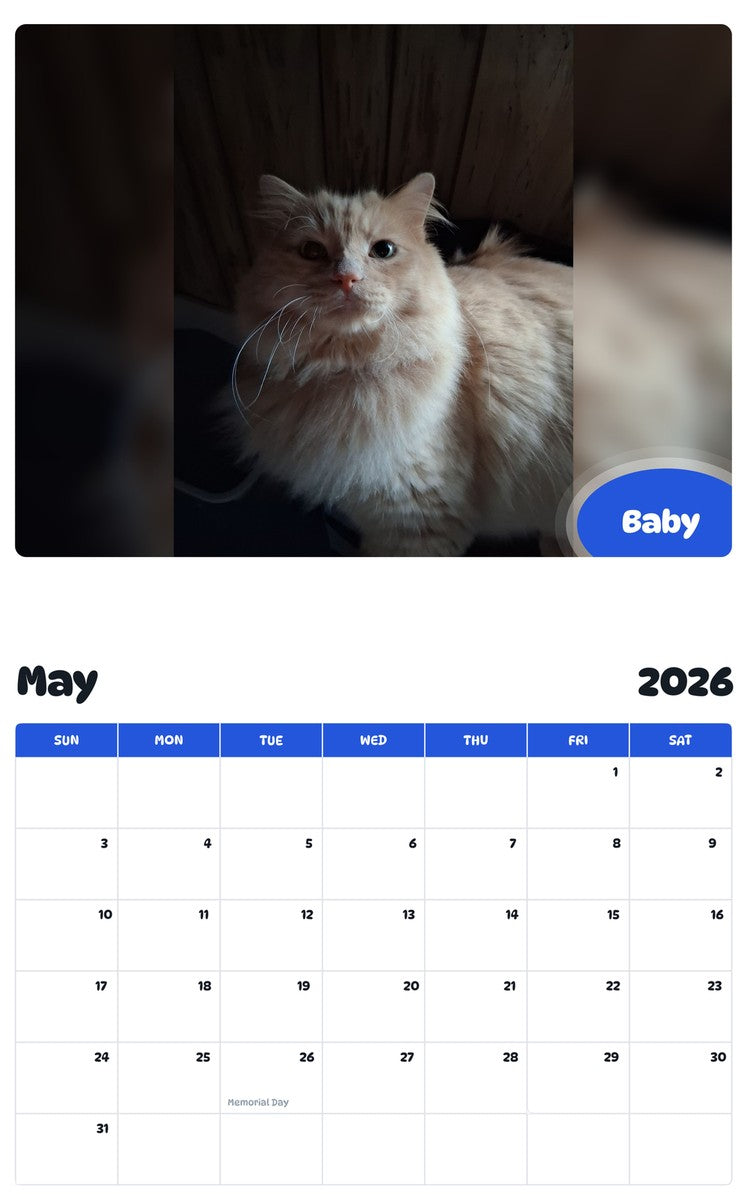 2026 - 2027 Baby - Pawidols Pet Calendar