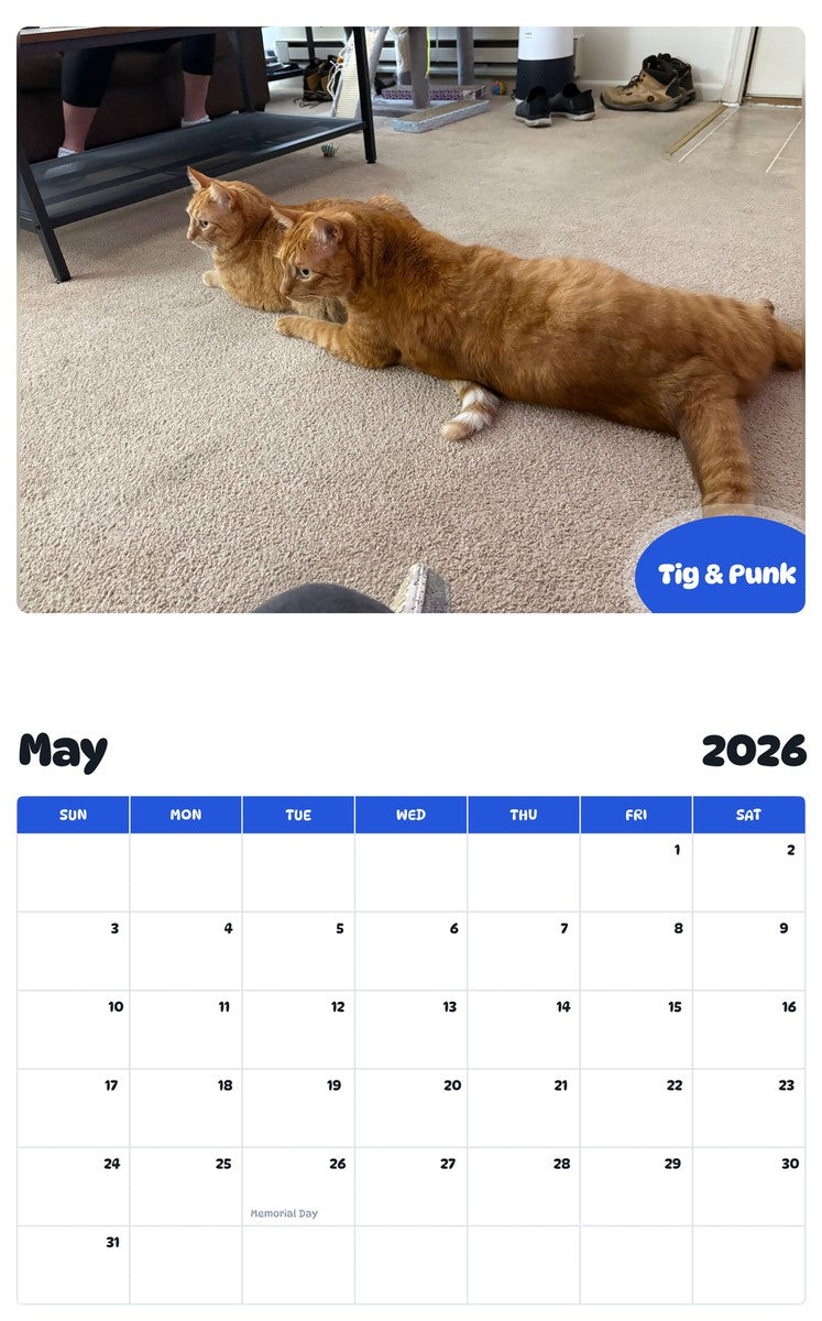 2026 - 2027 Tig & Punk - Pawidols Pet Calendar