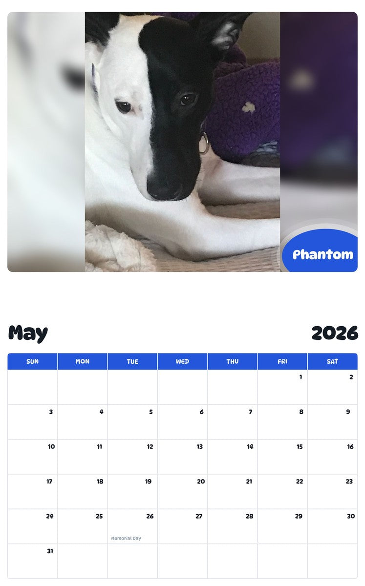 2026 - 2027 Phantom - Pawidols Pet Calendar