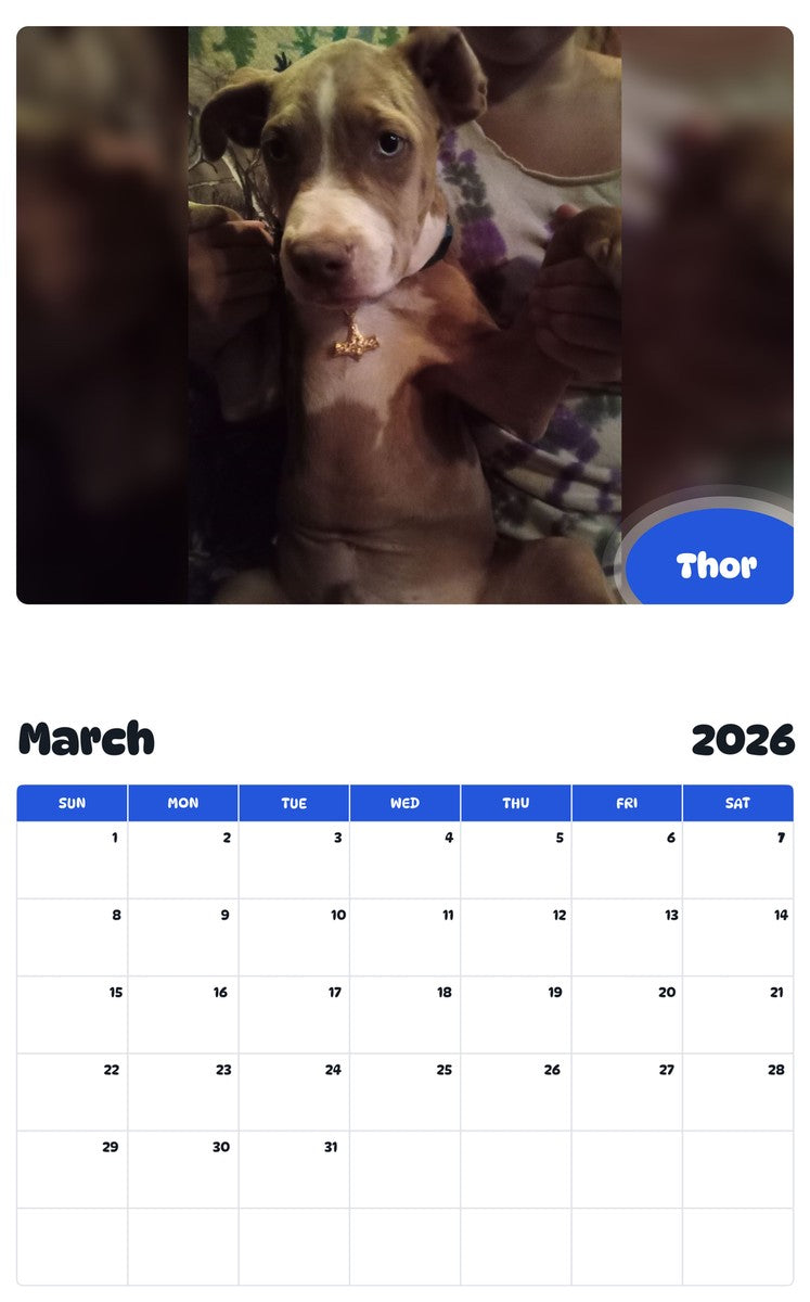 November 2025 - October 2026 Thor - Pawidols Pet Calendar