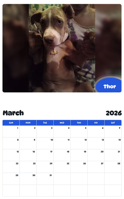 November 2025 - October 2026 Thor - Pawidols Pet Calendar
