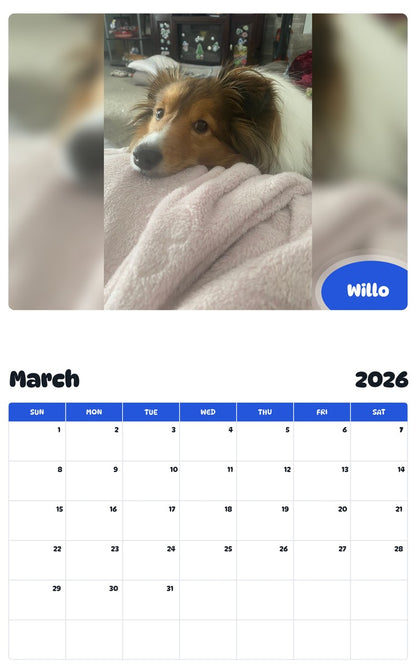 November 2025 - October 2026 Willo - Pawidols Pet Calendar