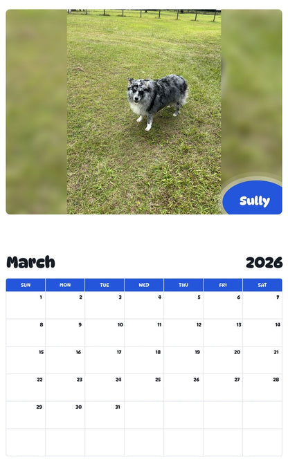 November 2025 - October 2026 Sully - Pawidols Pet Calendar