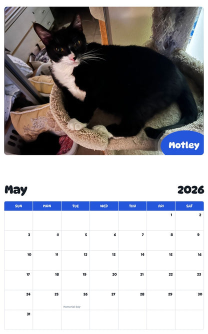 2026 - 2027 Motley - Pawidols Pet Calendar