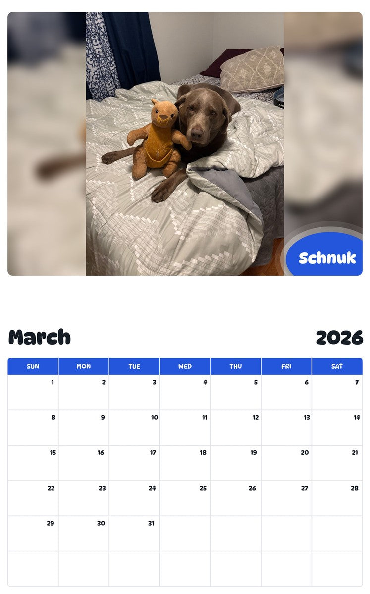 November 2025 - October 2026 Schnuk - Pawidols Pet Calendar
