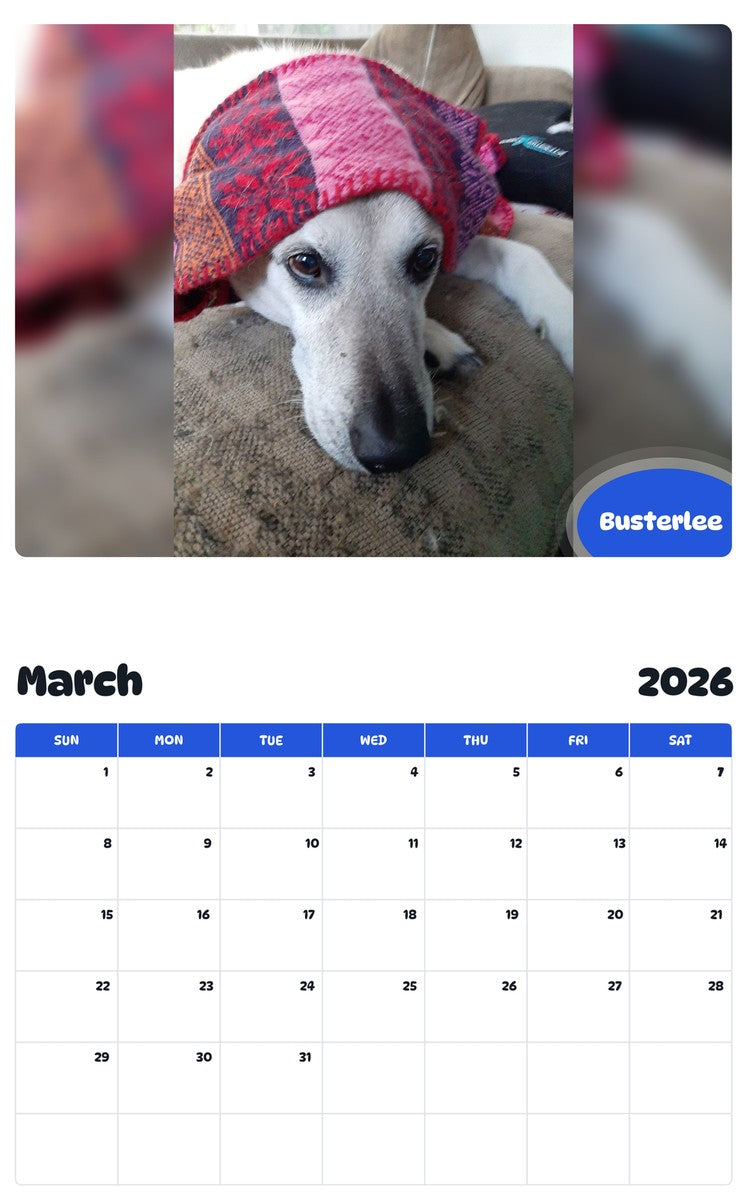 November 2025 - October 2026 Busterlee - Pawidols Pet Calendar