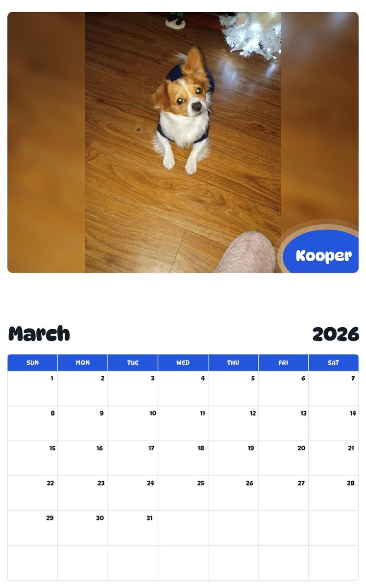 November 2025 - October 2026 Kooper - Pawidols Pet Calendar
